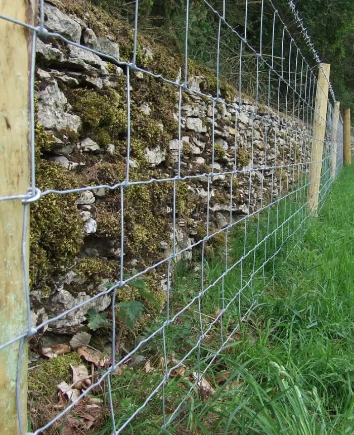 Agricultural Fencing